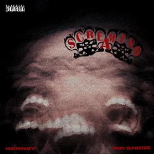 Screaming (feat. Konney) (Explicit)