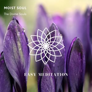 The Divine Souls (Original Mix)