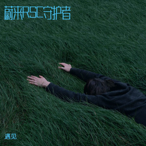 蔚来RSC热浪征途