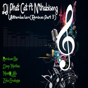 Ulithemba lam (feat. Nthabiseng) [Remixes, Pt. 3]