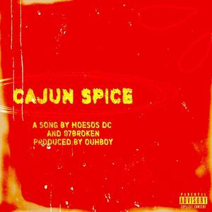 Cajun Spice (Explicit)