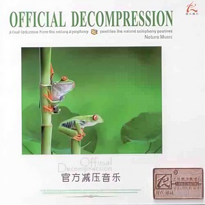 吴健培-音乐人 - 漫步雨中