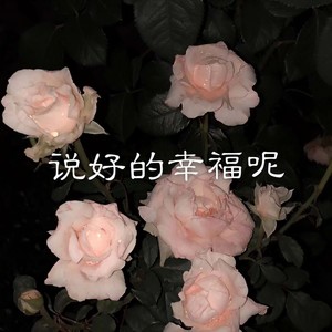 我不爱你了 (Remix)
