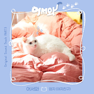 어서와(Meow the secret boy)