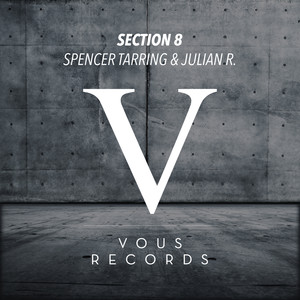 Section 8 (Original Mix)