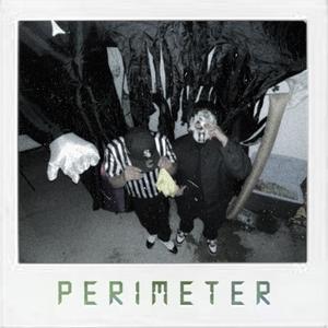 PERIMETER (feat. RCK) (Explicit)