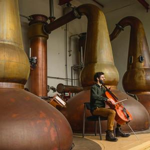 Valley Of The Brambles