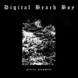 Digital Beach Boy