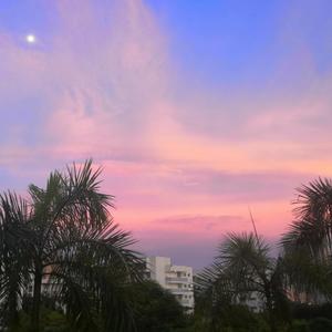 Fabrizio Paterlini-ㅤ:-( (敦厚老实的安安 remix)