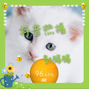 你离开的事实