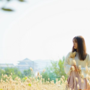 再遇见
