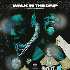 Walk in the Drip (Explicit)