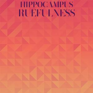 Hippocampus Ruefulness