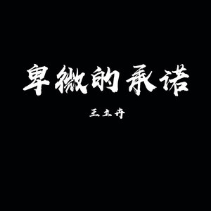卑微的承诺