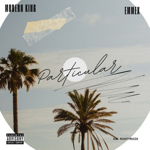 Particular (Explicit)