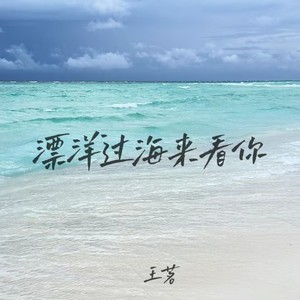 漂洋过海来看你