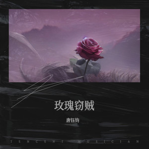 玫瑰窃贼-唐钰钧