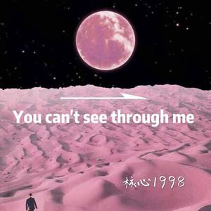 You cant see through me