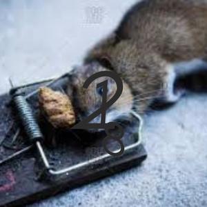 Spenace The Menace: Mumble Rap Trap (Explicit)