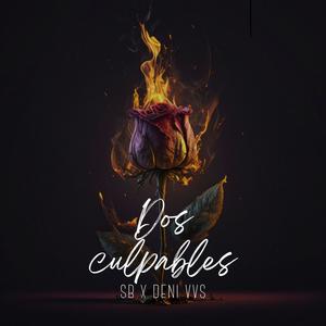 Dos Culpables (feat. Deni VVS) [Explicit]