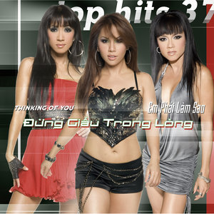 Top Hits 37 - Dung Giau Trong Long