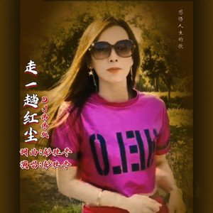 走一趟红尘 (DJ伟伟版伴奏)