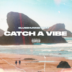 Catch a Vibe (Explicit)