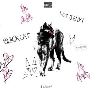 Black Cat (Explicit)