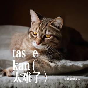 tas ekan (太难了)