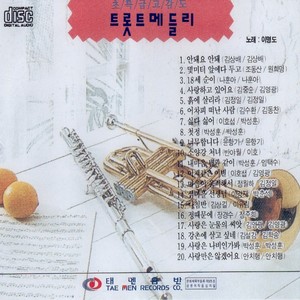 정때문에 (因为情)