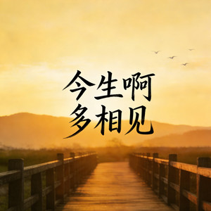 今生啊 多相见