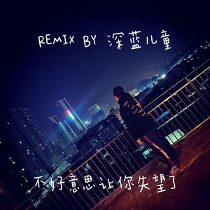 不好意思让你失望了remix