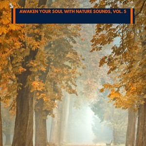 The Mountain Mentors