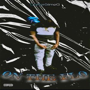 On The Flo (Explicit)