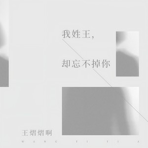 我姓王，却忘不掉你 (伴奏)