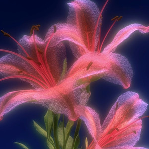 Mister Dave (Explicit)