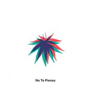 No Te Pienso