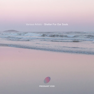 The Cat with the White Socks