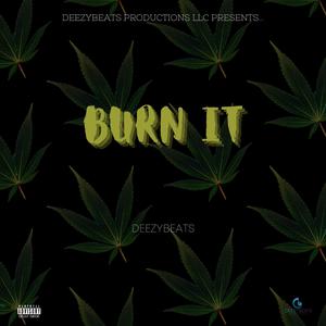Burn It (Explicit)