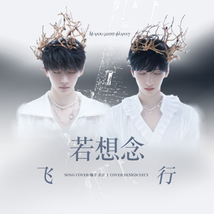 若想念飞行