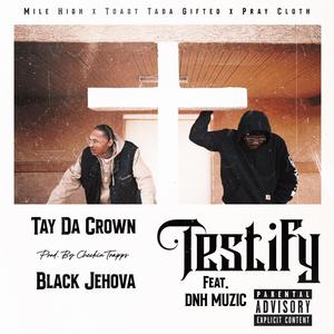 Testify (feat. Dnh Muzic) [Explicit]