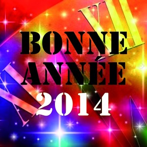 Bonne Année 2014 (Nouvel an ch'ti & dance réussi) [Explicit]