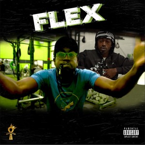 Flex (Radio Edit)