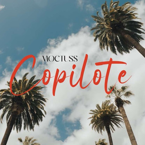 Copilote (Explicit)