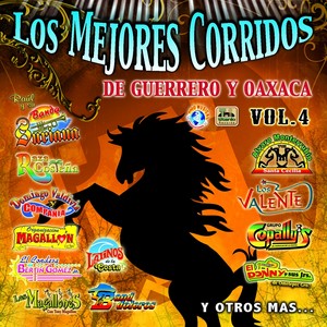 Los Mejores Corridos de Guerrero y Oaxaca, Vol. 4