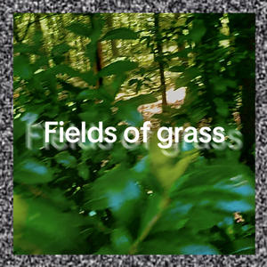 Fields of Grass (Explicit)