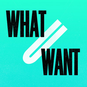 What U Want (feat. J Paul Getto) (Remixes)