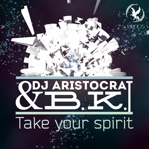 Take Your Spirit (DJ Aristocrat & Andy Green Remix)