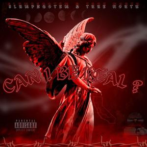 CAN I BE REAL ? (feat. $lumpzgotem & True North) (Explicit)
