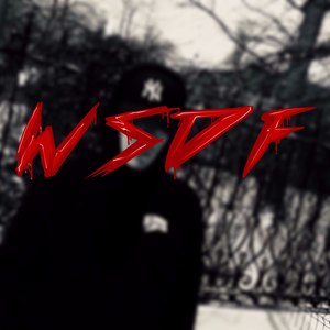 Wsdf